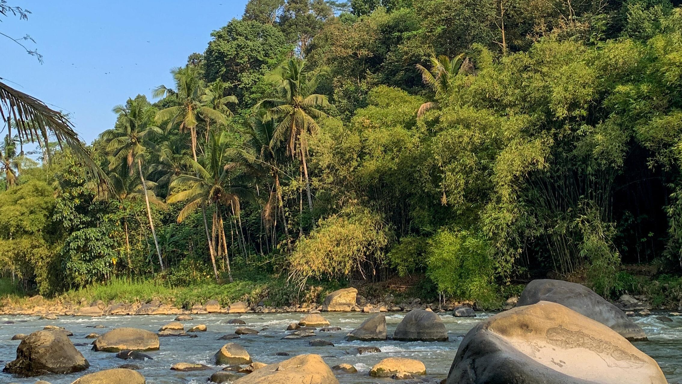 Aktivitas Desa Karanganyar